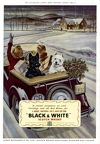Реклама виски Black & White