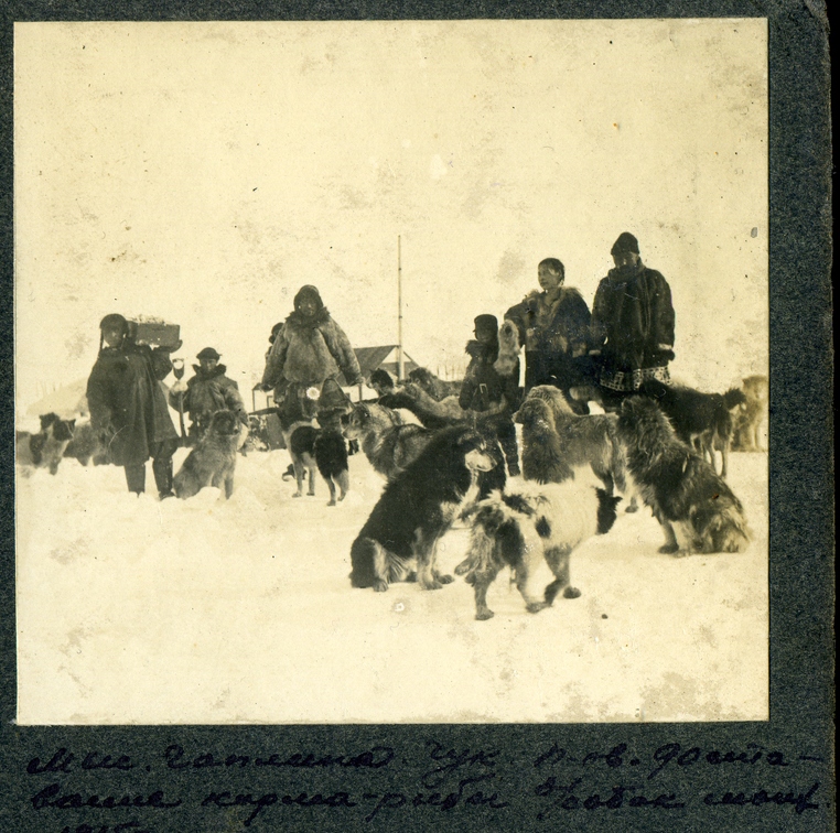 vintage-dogs.com_Nothern_Sled_Dogs_1917_190.jpg