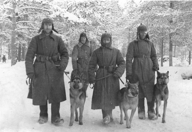 vintage-dogs.com_Soviet_messenger_dogs_1939.jpg