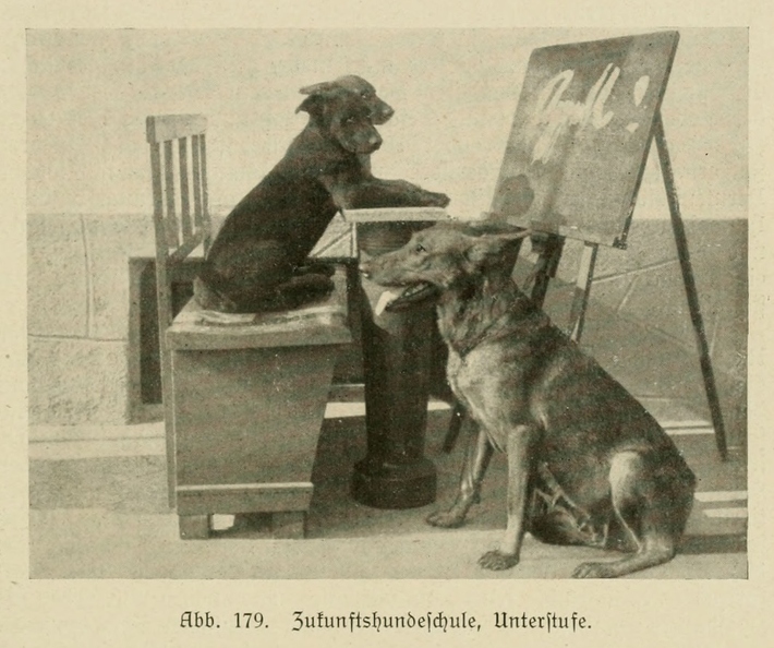 Der_deutsche_Schaferhund_in_Wort_und_Bild_-_vintage-dogs.com _0229.jpg