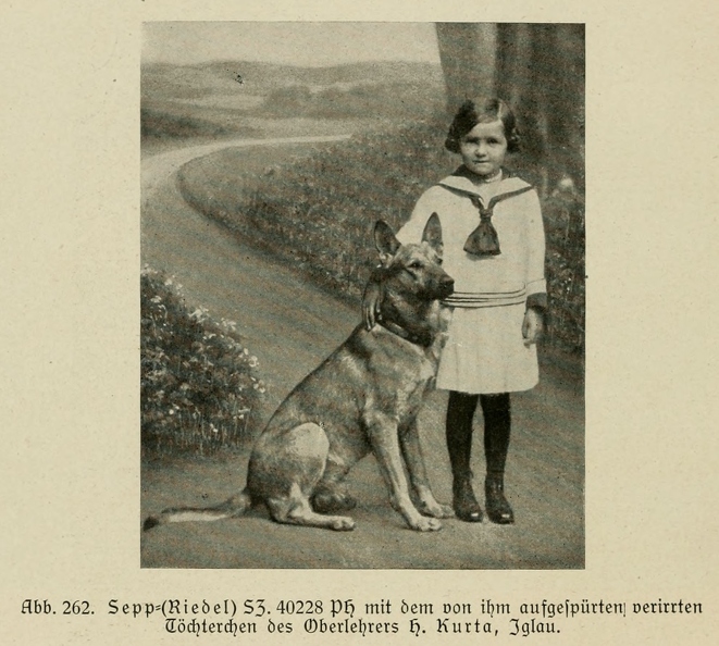 Der_deutsche_Schaferhund_in_Wort_und_Bild_-_vintage-dogs.com _0344.jpg