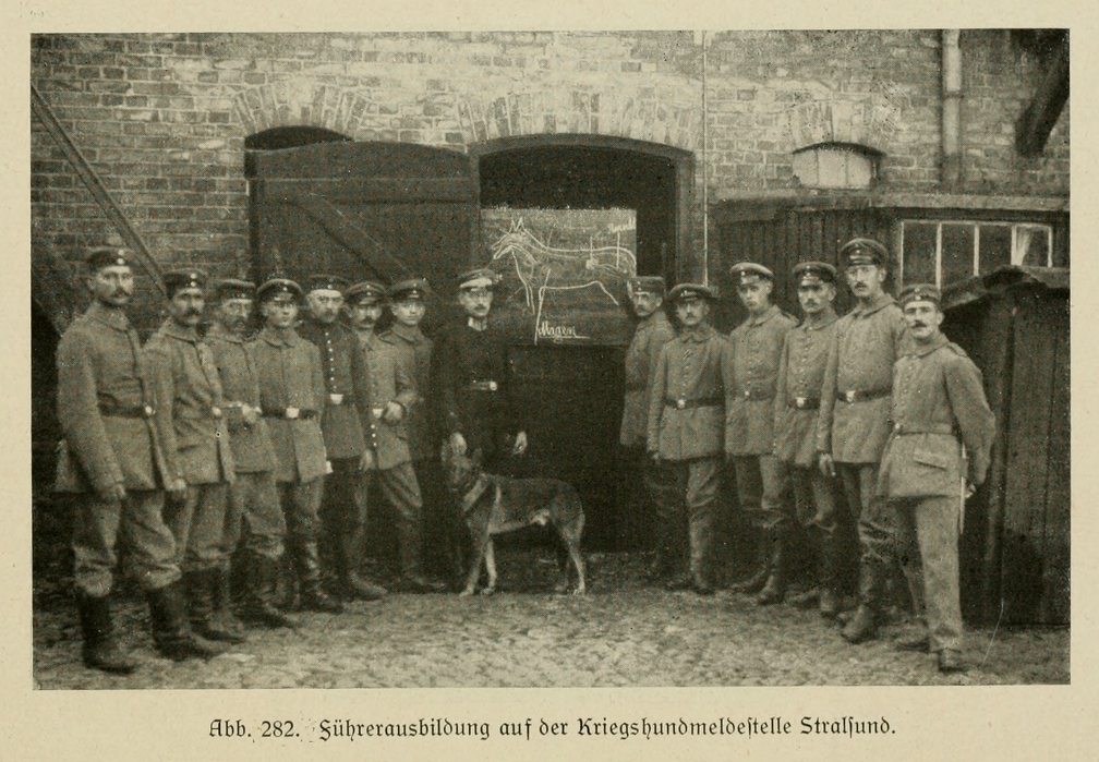 Der_deutsche_Schaferhund_in_Wort_und_Bild_-_vintage-dogs.com _0364.jpg
