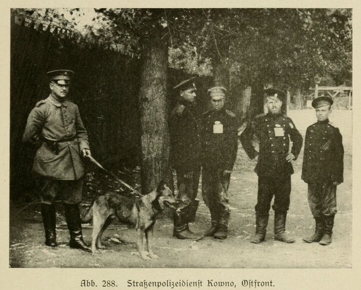 Der_deutsche_Schaferhund_in_Wort_und_Bild_-_vintage-dogs.com _0369.jpg