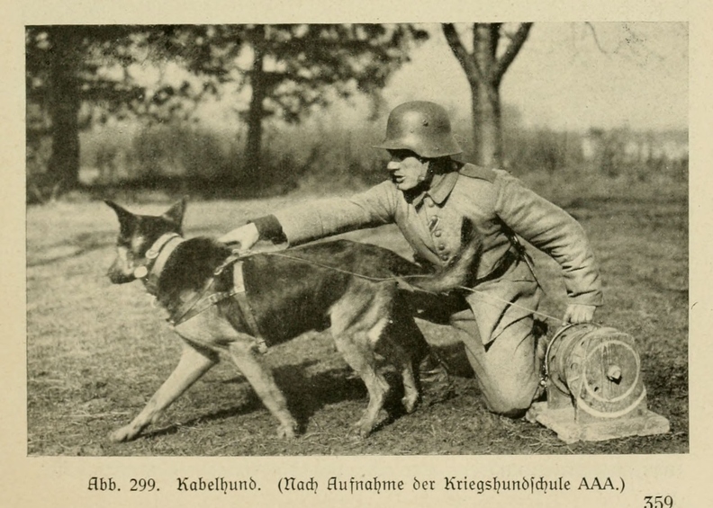 Der_deutsche_Schaferhund_in_Wort_und_Bild_-_vintage-dogs.com _0379 (2).jpg