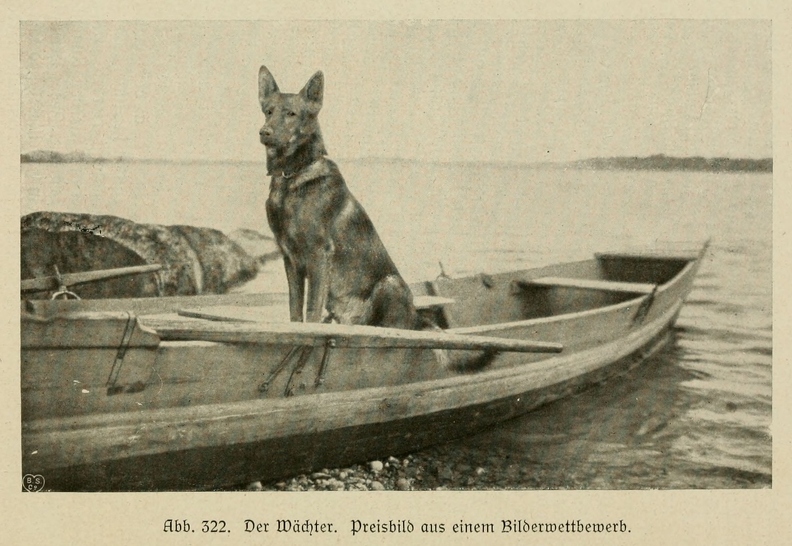 Der_deutsche_Schaferhund_in_Wort_und_Bild_-_vintage-dogs.com _0404.jpg