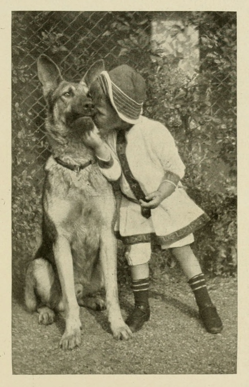 Der_deutsche_Schaferhund_in_Wort_und_Bild_-_vintage-dogs.com _0585.jpg