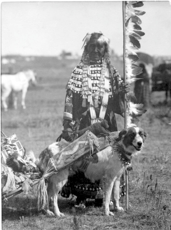 vintage-dogs.com_Native_American_women_holding_staff_with_dog_pulling_travois.jpg