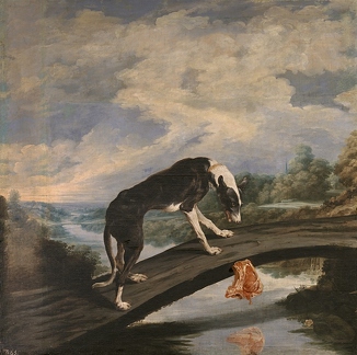 Собака и отражение