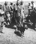 Советские военнопленные и собака-подрывник