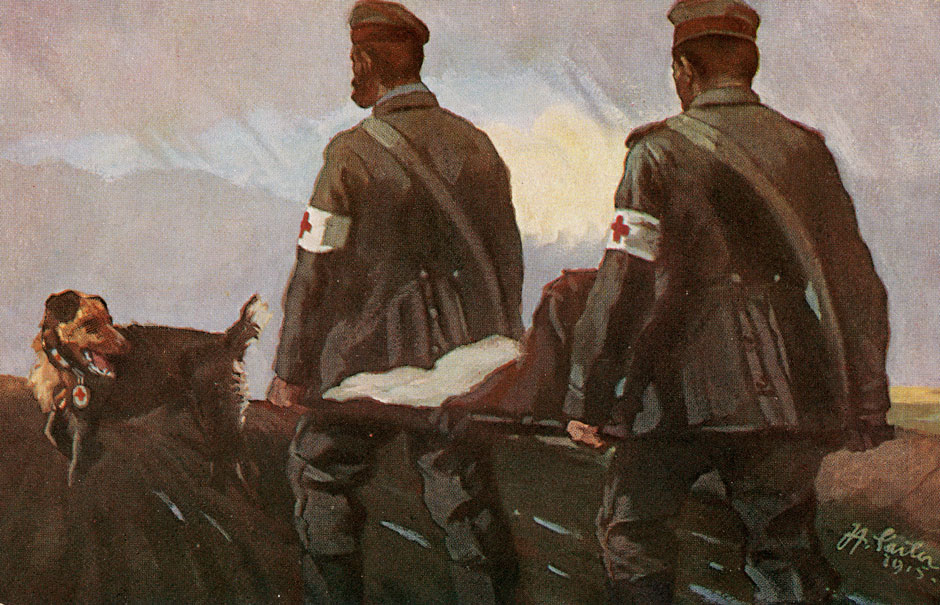 Раненый капитан. Собака санитар. Собаки в первой мировой войне. Собаки санитары на войне 1941-1945.
