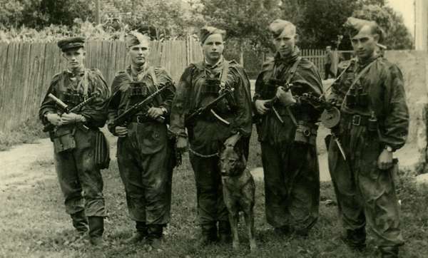 vintage-dogs.com_soviet_army_dog.jpg